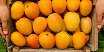 Ten Best  summer fruits and vegetables that will assist you loss weights