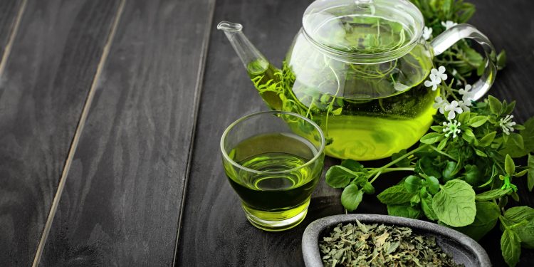 What to eat for three days to turn, burn fat, and be your healthiest With Green Tea