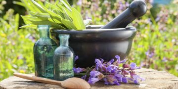 8 Best Healing Herbs you Must Have in your kitchen Room